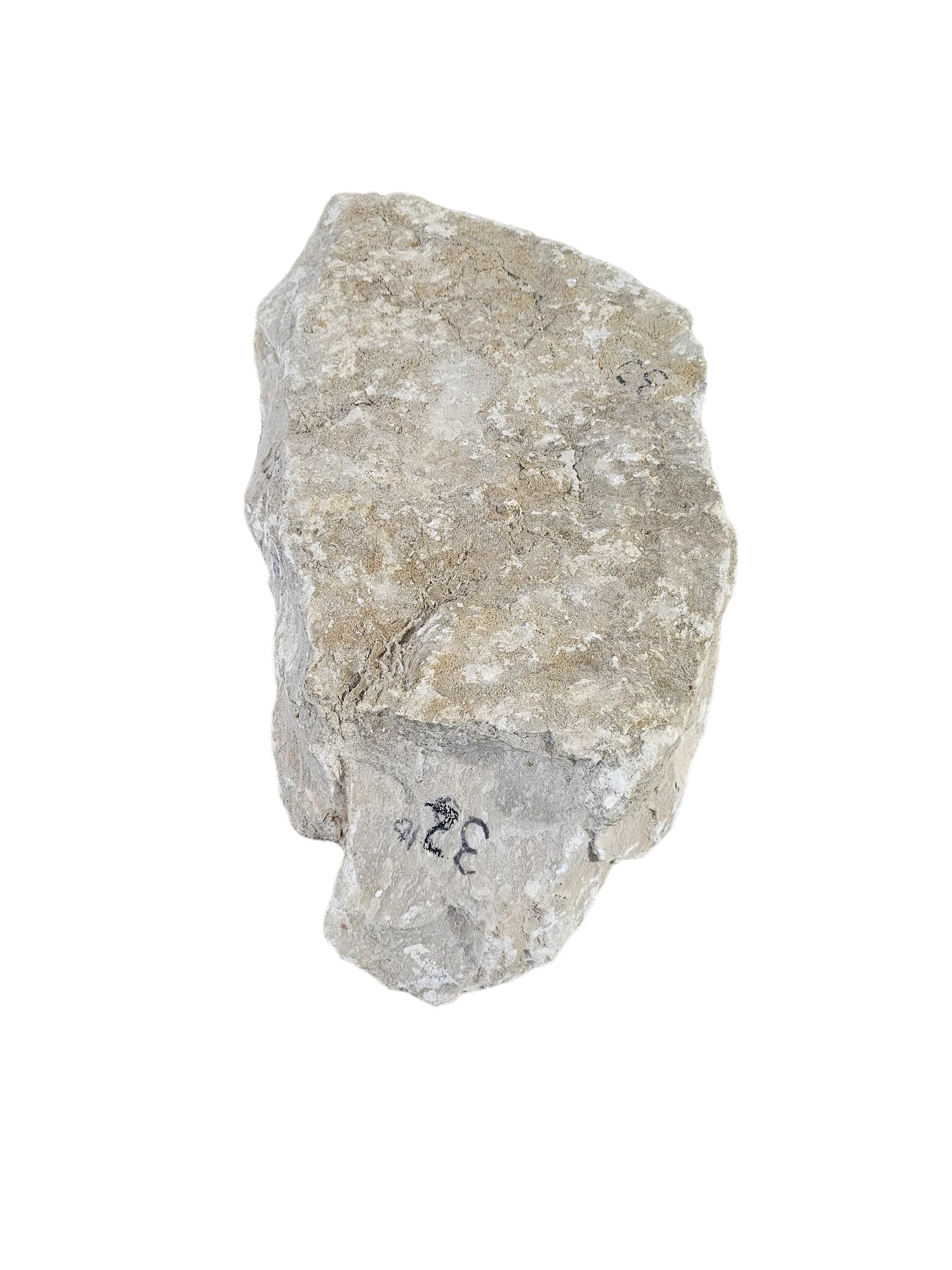 New Harvest Gold Alabaster 32lb NHG002 - Image 3